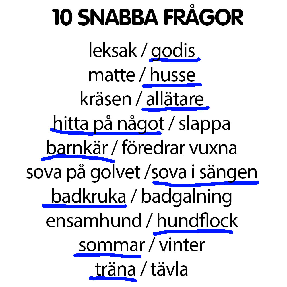 Snabba frågor Leyla