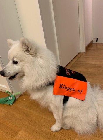 Specialsydd väst