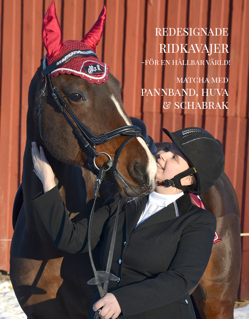 glitzit equestrian