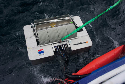 Skimmer  