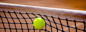 Välkommen till Torslanda Tennisklubbs webbshop! Torslanda Tennisklubbs officiella webbshop för bland annat klubbkläder, merchandise och material. Webbshopen drivs i samarbete med Sportsatwork & Brand Communication i Uppsala