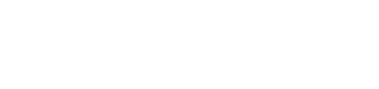 Viking - Webshop
