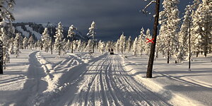 Boka Skoter aktiviteter på Idre Fjäll Häng med oss på vinterns häftigaste äventyr En oförglömlig vinterupplevelse