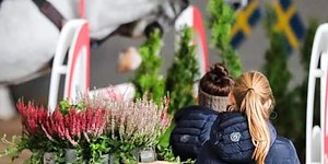 För oss i Trollhättans Sportryttare!
